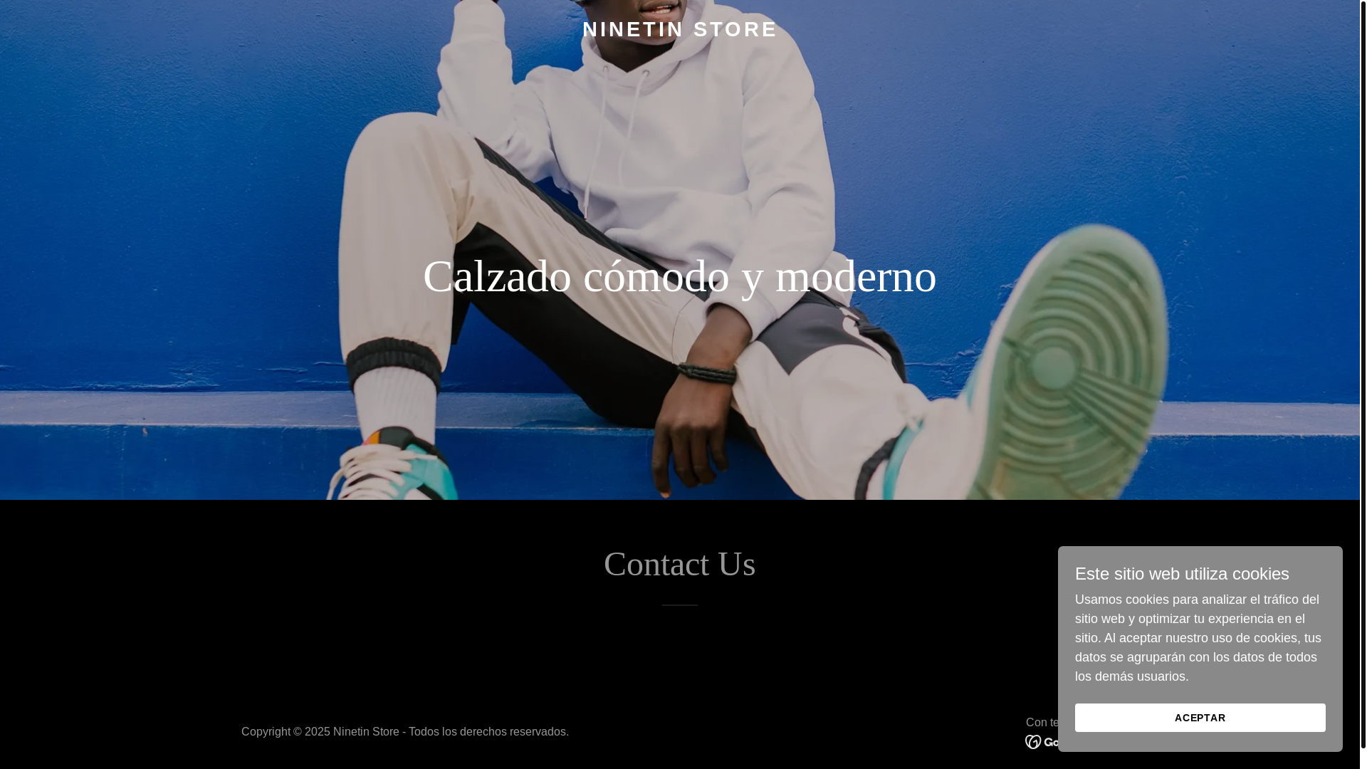 website screenshot of https://ninetin.store/