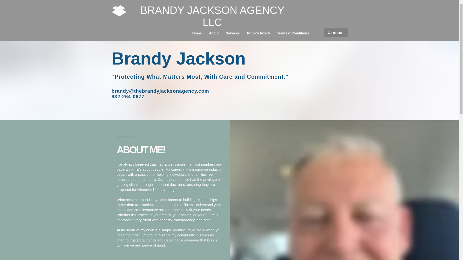 website screenshot of https://brandyjacksonagencyllc.net/