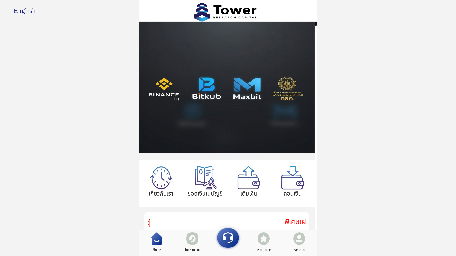 website screenshot of https://tower-capitall.com/