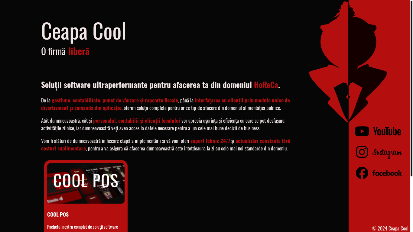 website screenshot of https://ceapa.cool/