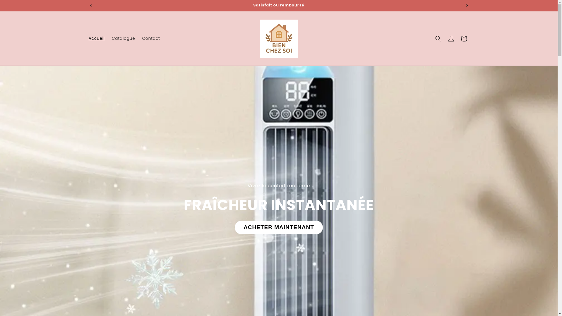 website screenshot of https://bienchezsoi-paris.fr/