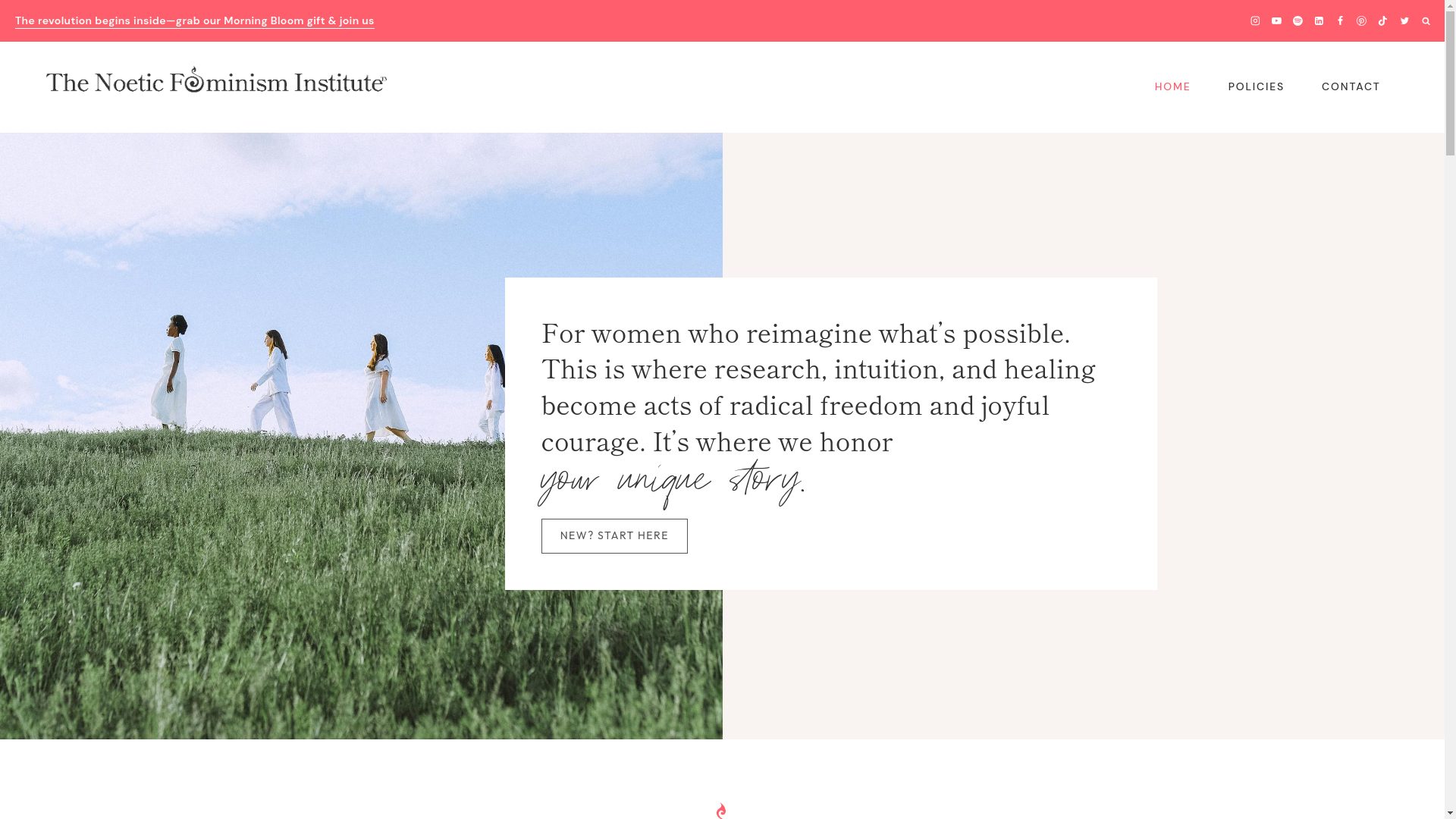 website screenshot of https://feministenlightenment.com/