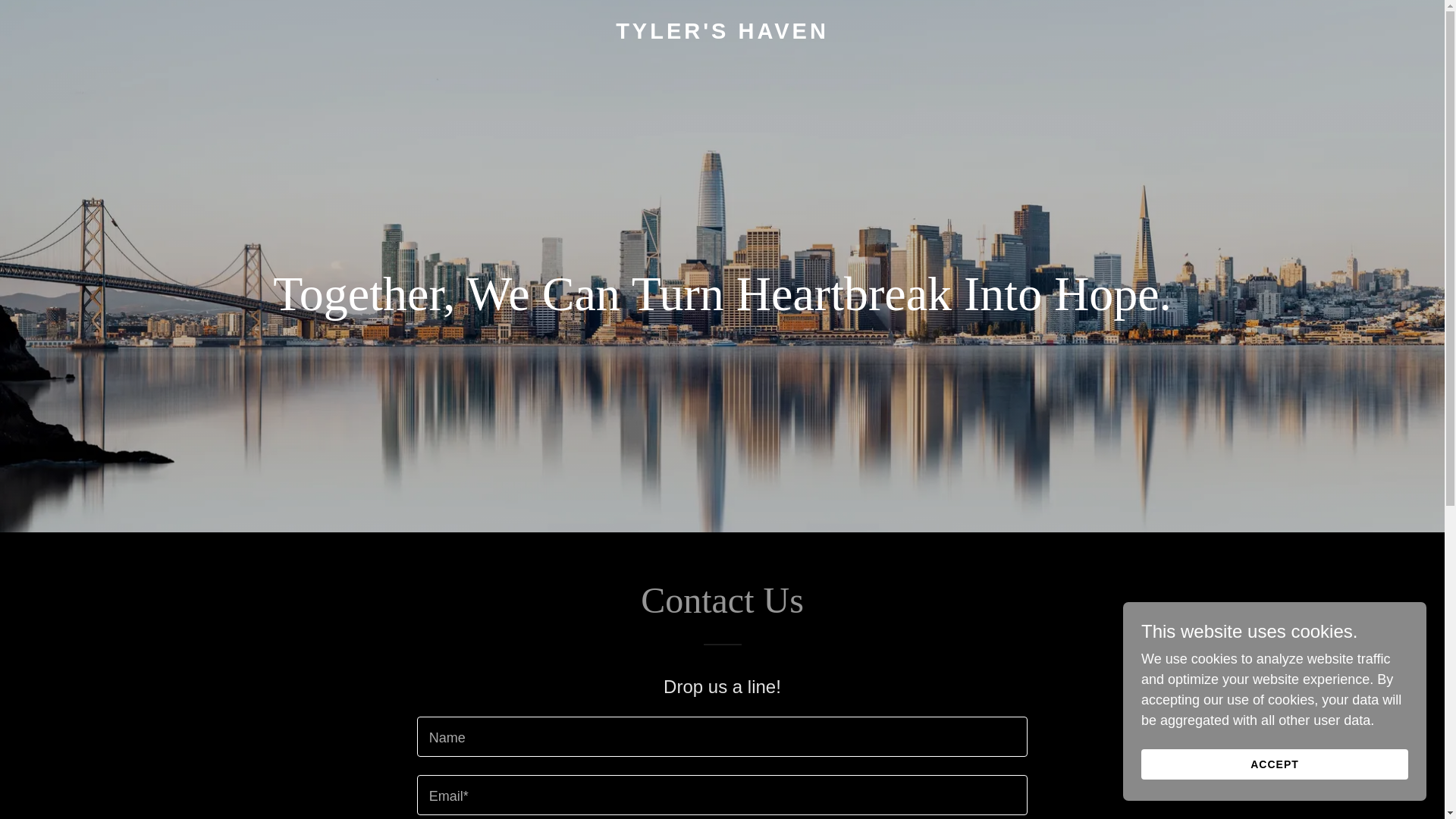 website screenshot of https://tylershavenrecovery.org/