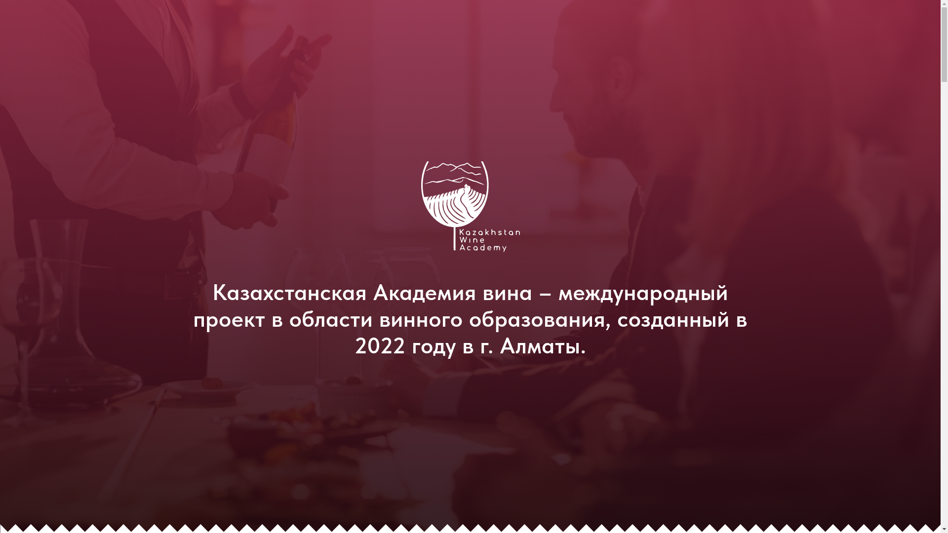 website screenshot of https://vinoacademia.kz/