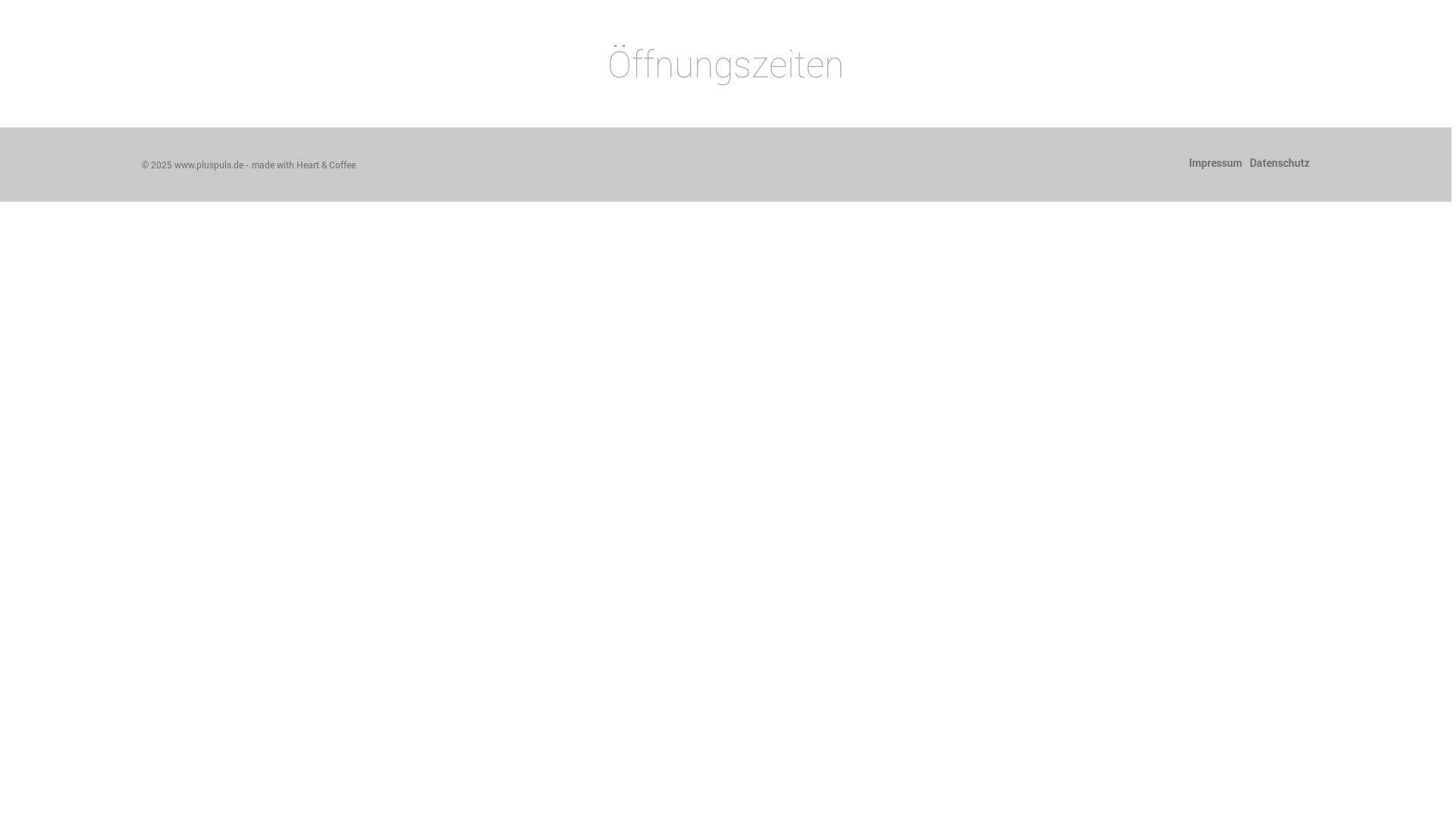 website screenshot of https://baran-poessneck.de/