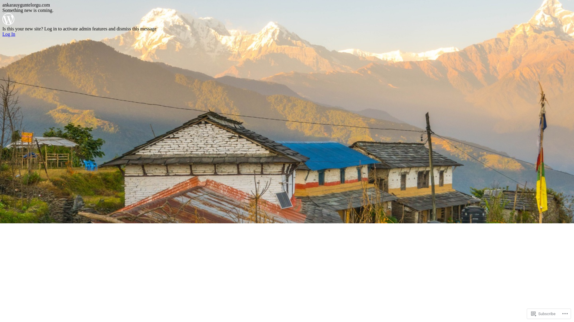 website screenshot of https://ankarauyguntelorgu.com/