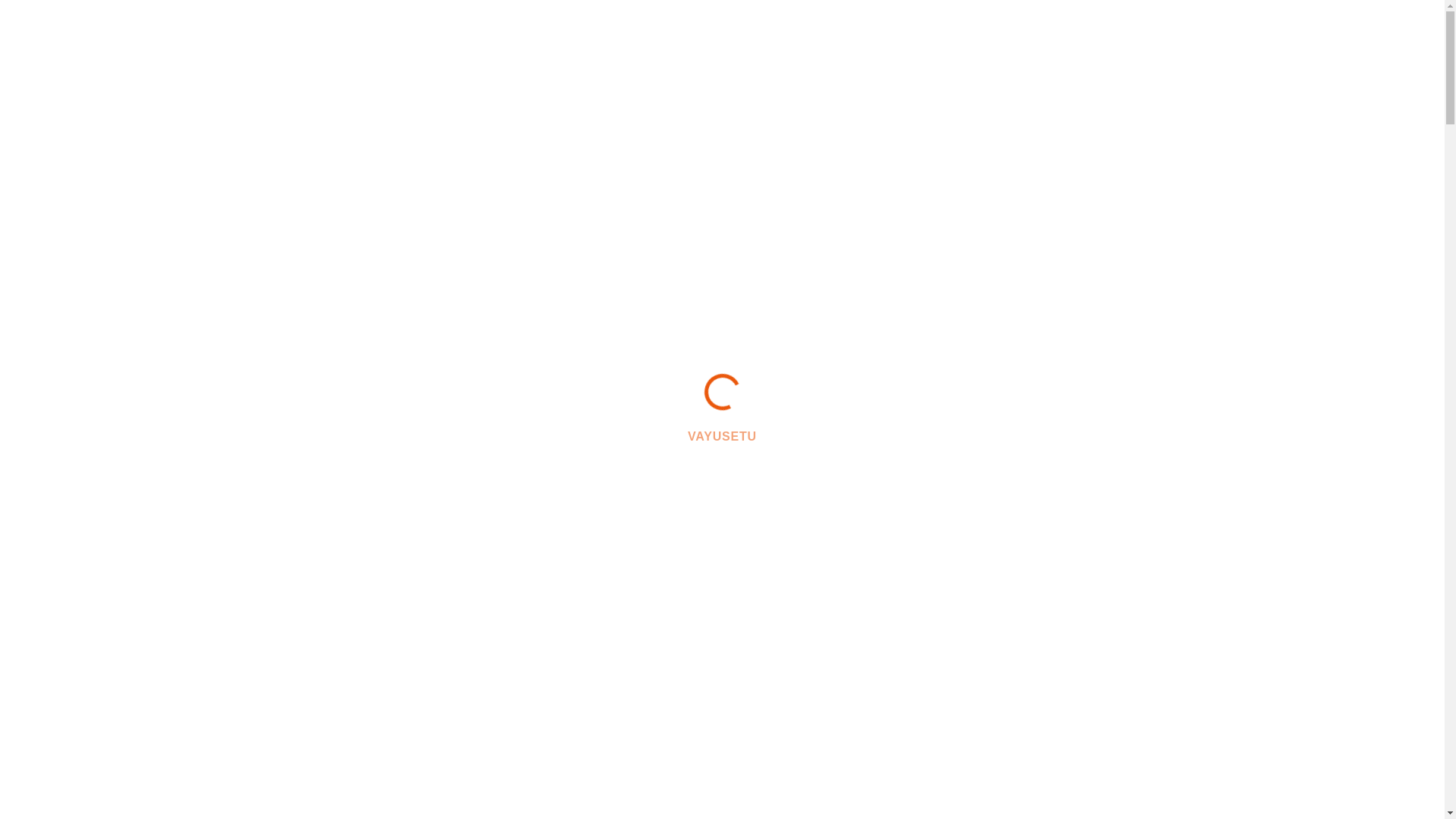 website screenshot of https://vayusetuglobaledu.com/