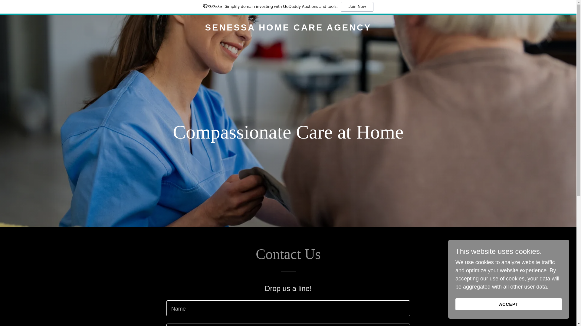 website screenshot of https://senessahomecareagency.com/