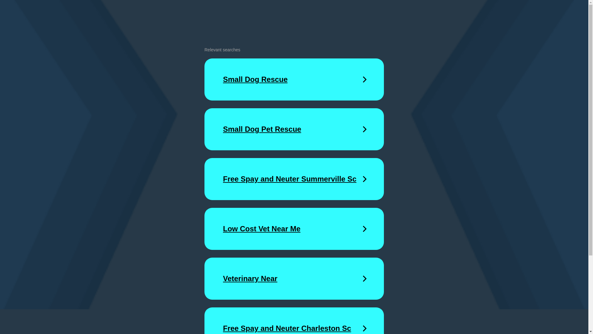 website screenshot of https://veterinarian-80542.shop/