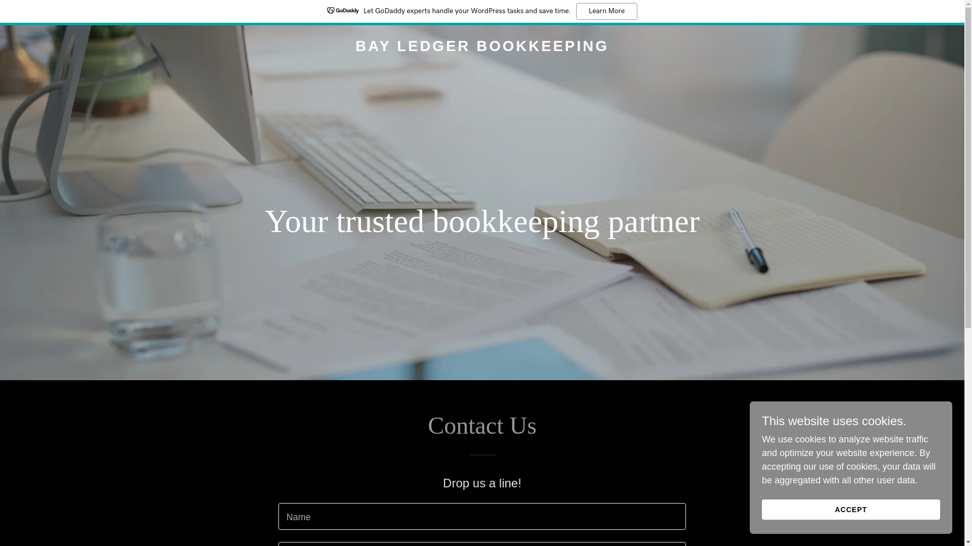 website screenshot of https://bayledgerbooks.com/