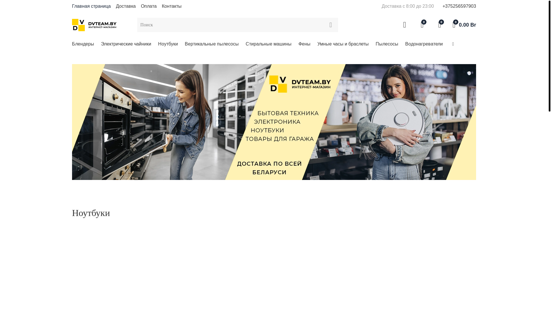 website screenshot of https://dvteam.by/