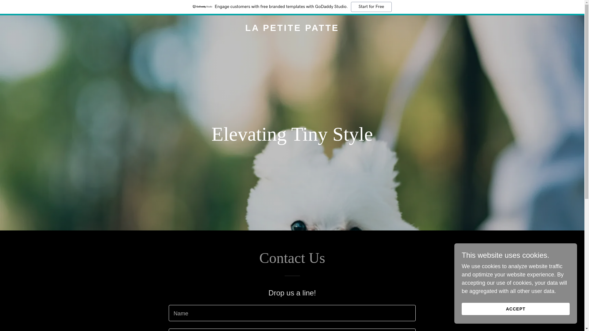 website screenshot of https://lapetitepatte.store/