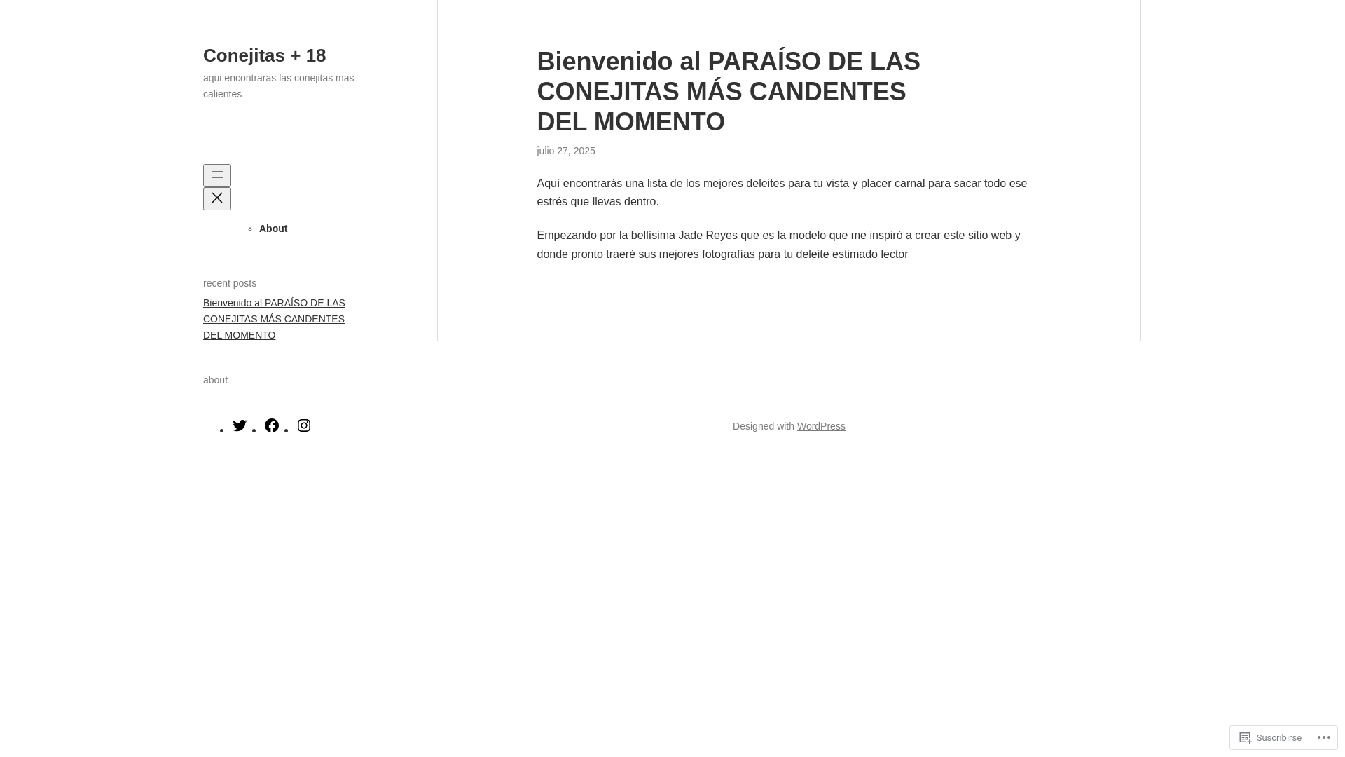 website screenshot of https://conejitas18.blog/