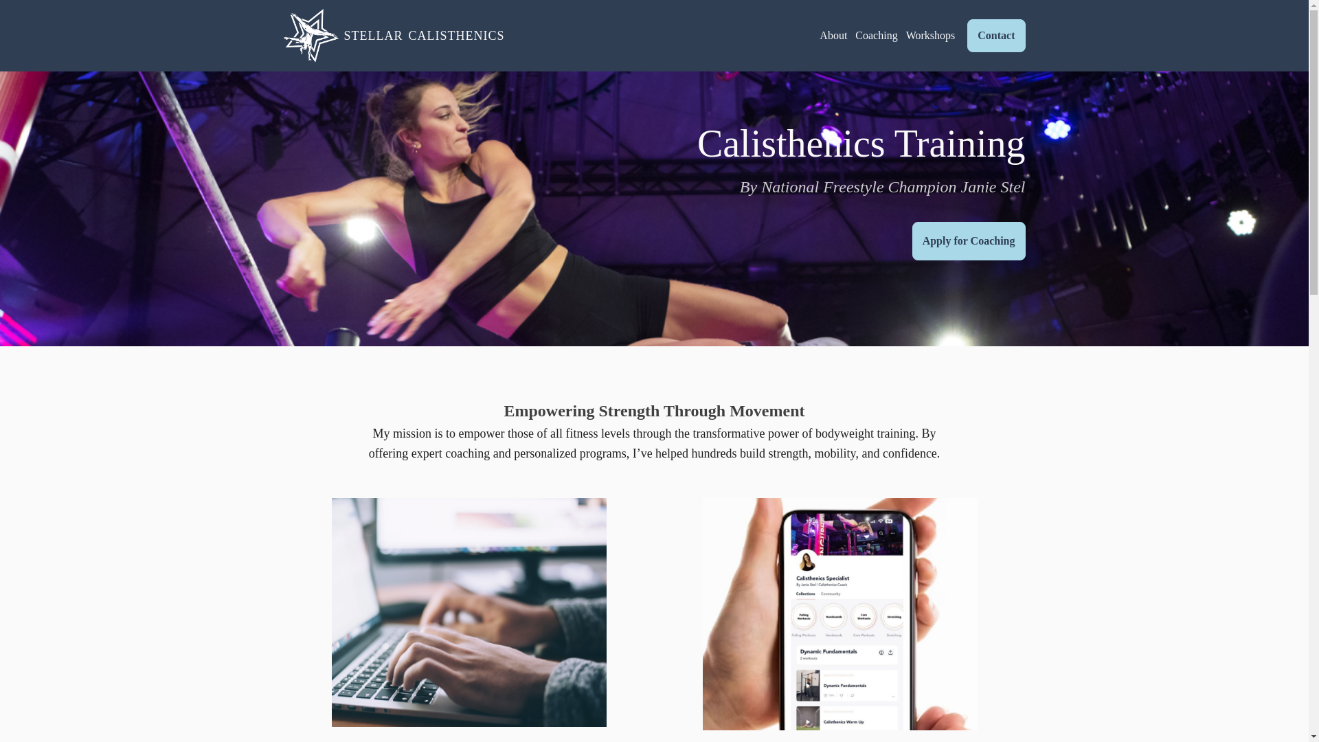 website screenshot of https://stellarcalisthenics.com/