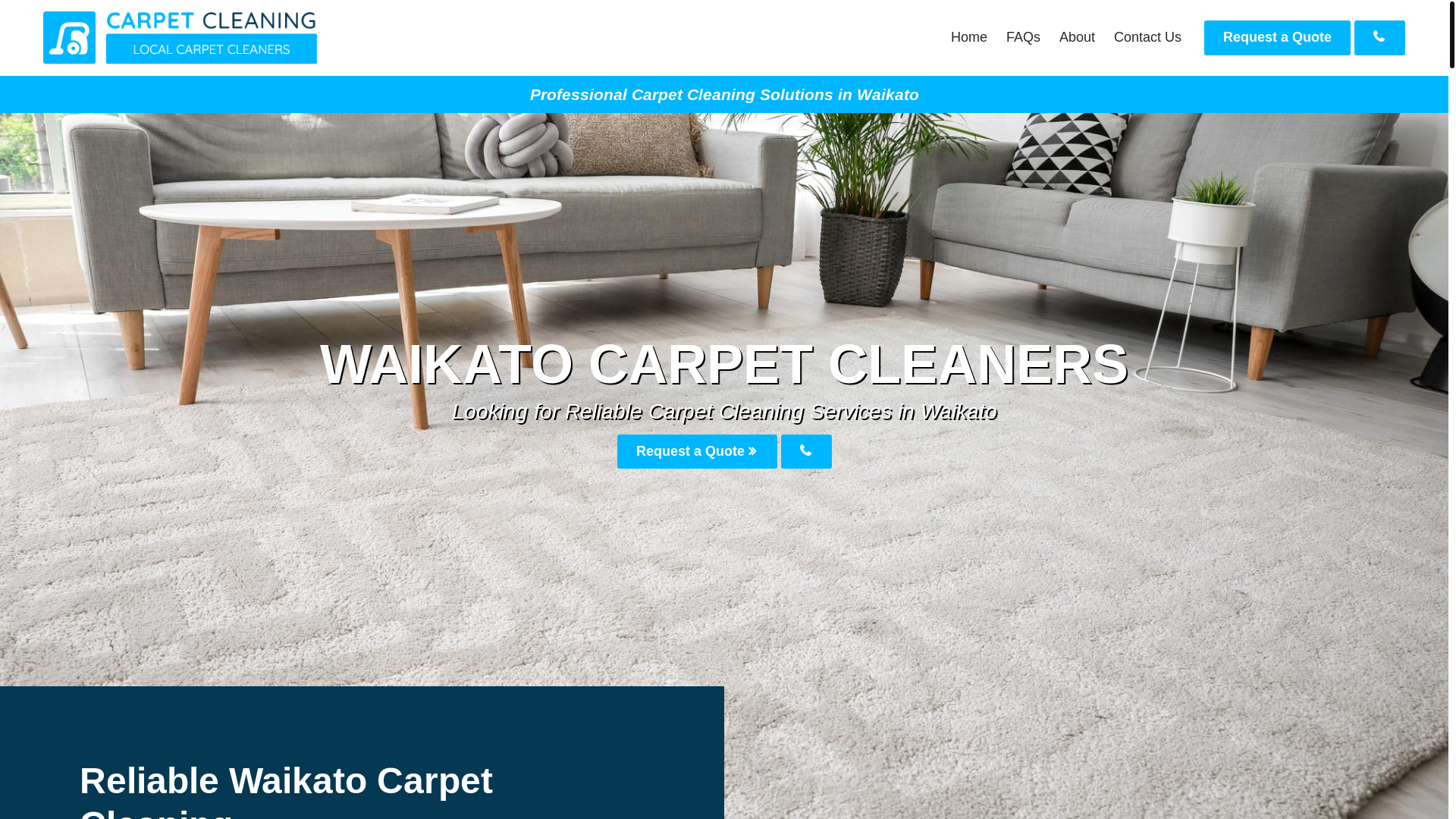 website screenshot of https://waikatocarpetcleaners.co.nz/