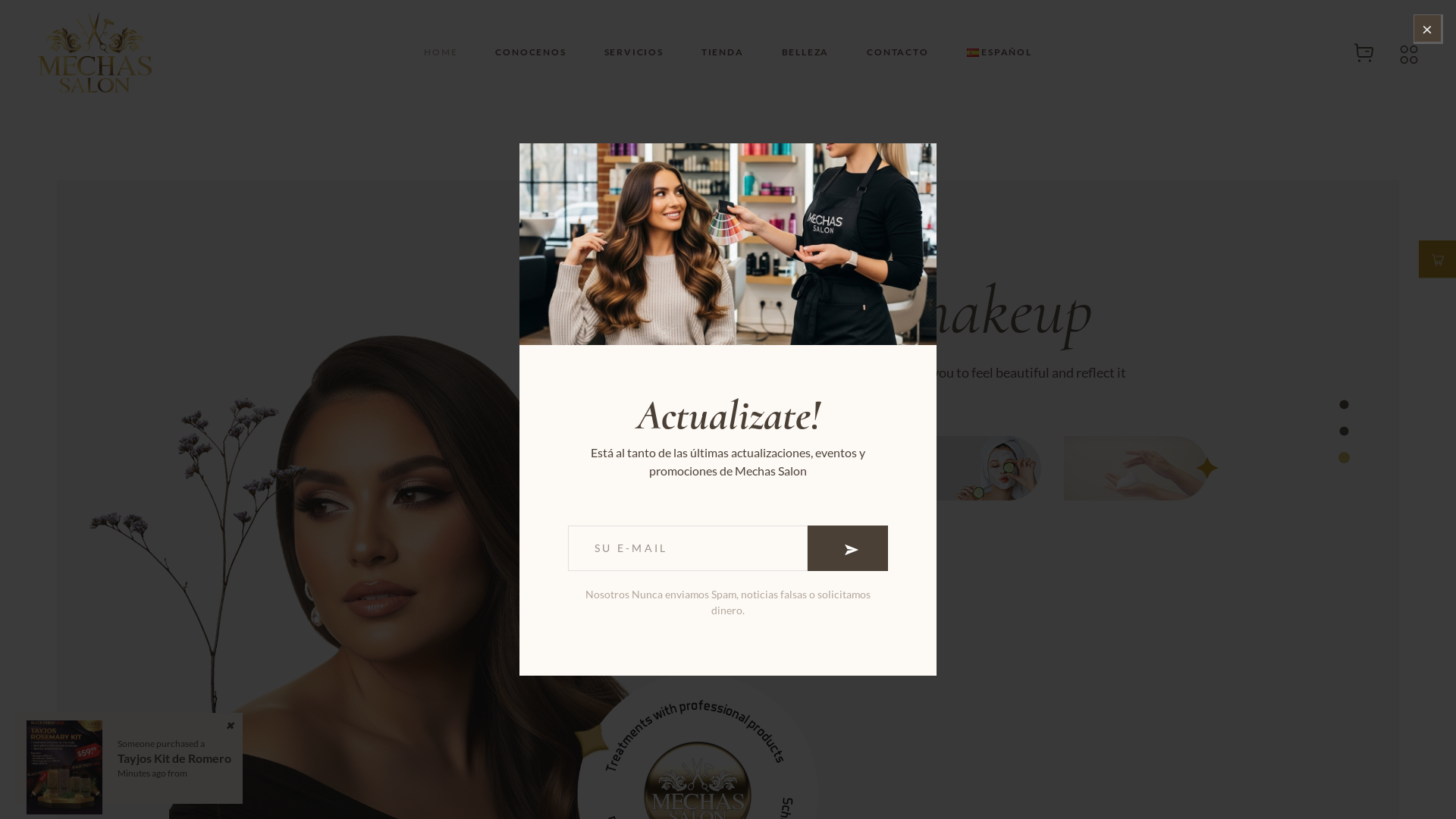 website screenshot of https://mechassalon.com/