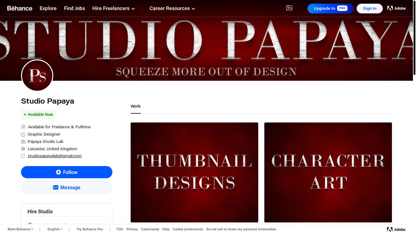 website screenshot of https://www.behance.net/studiopapayalab/