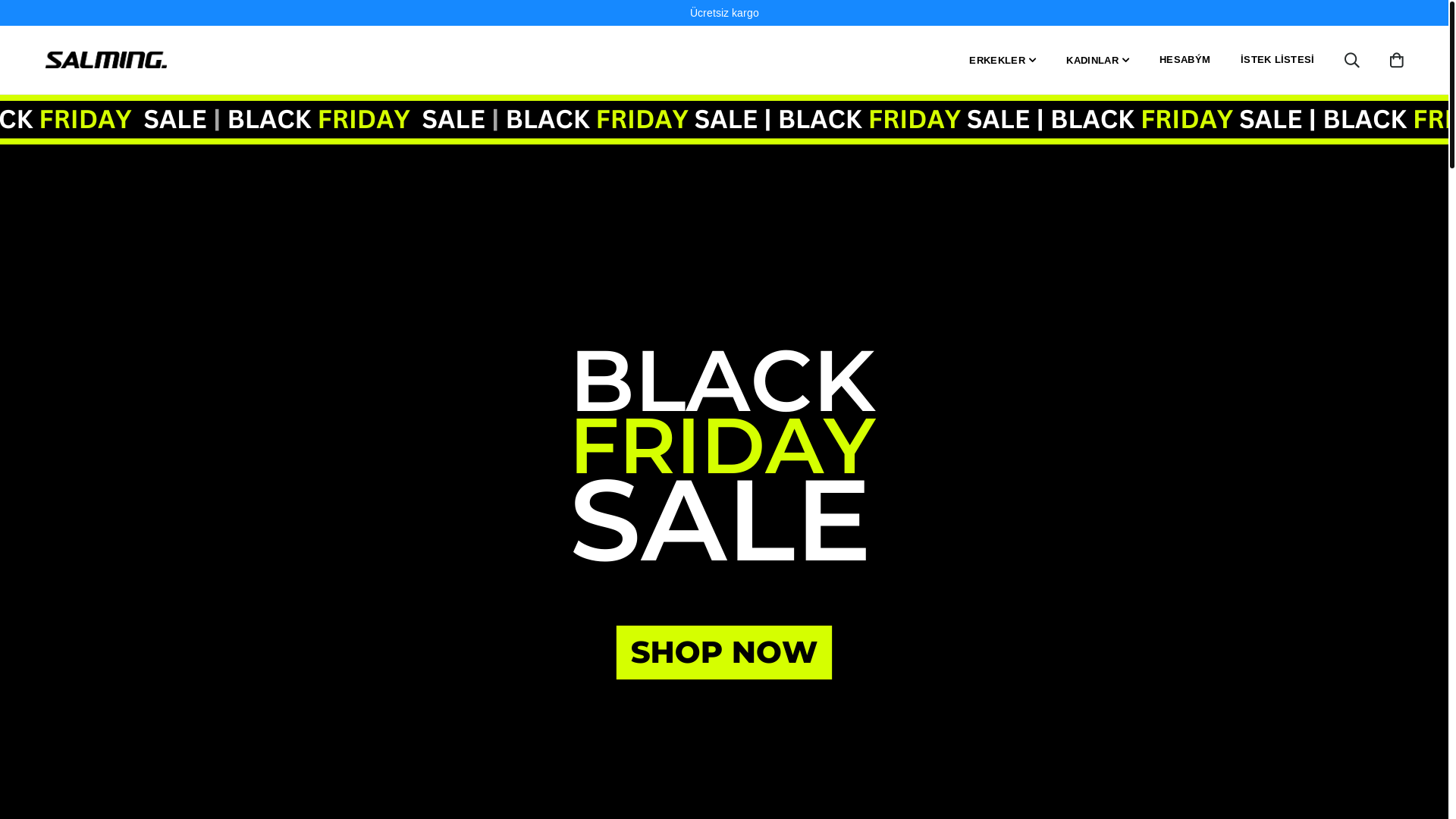 website screenshot of https://www.xn--salmingtrkiye-3ob.com/