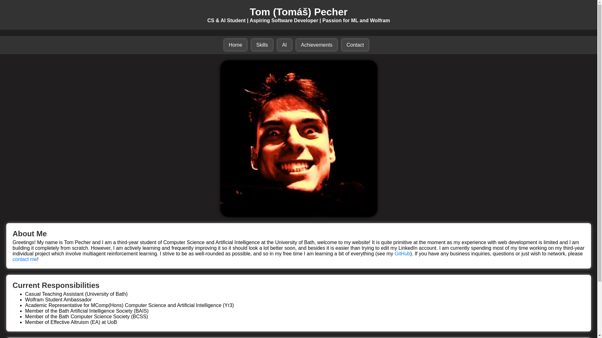 website screenshot of https://cvwebsite-5t9.pages.dev/