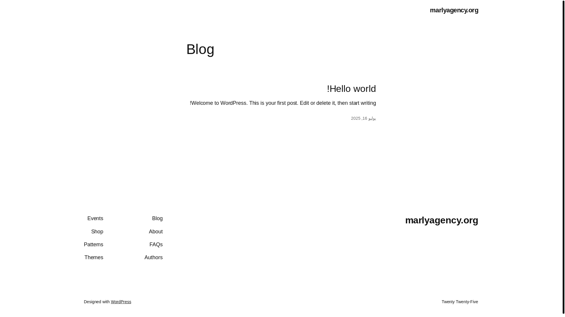 website screenshot of https://marlyagency.org/