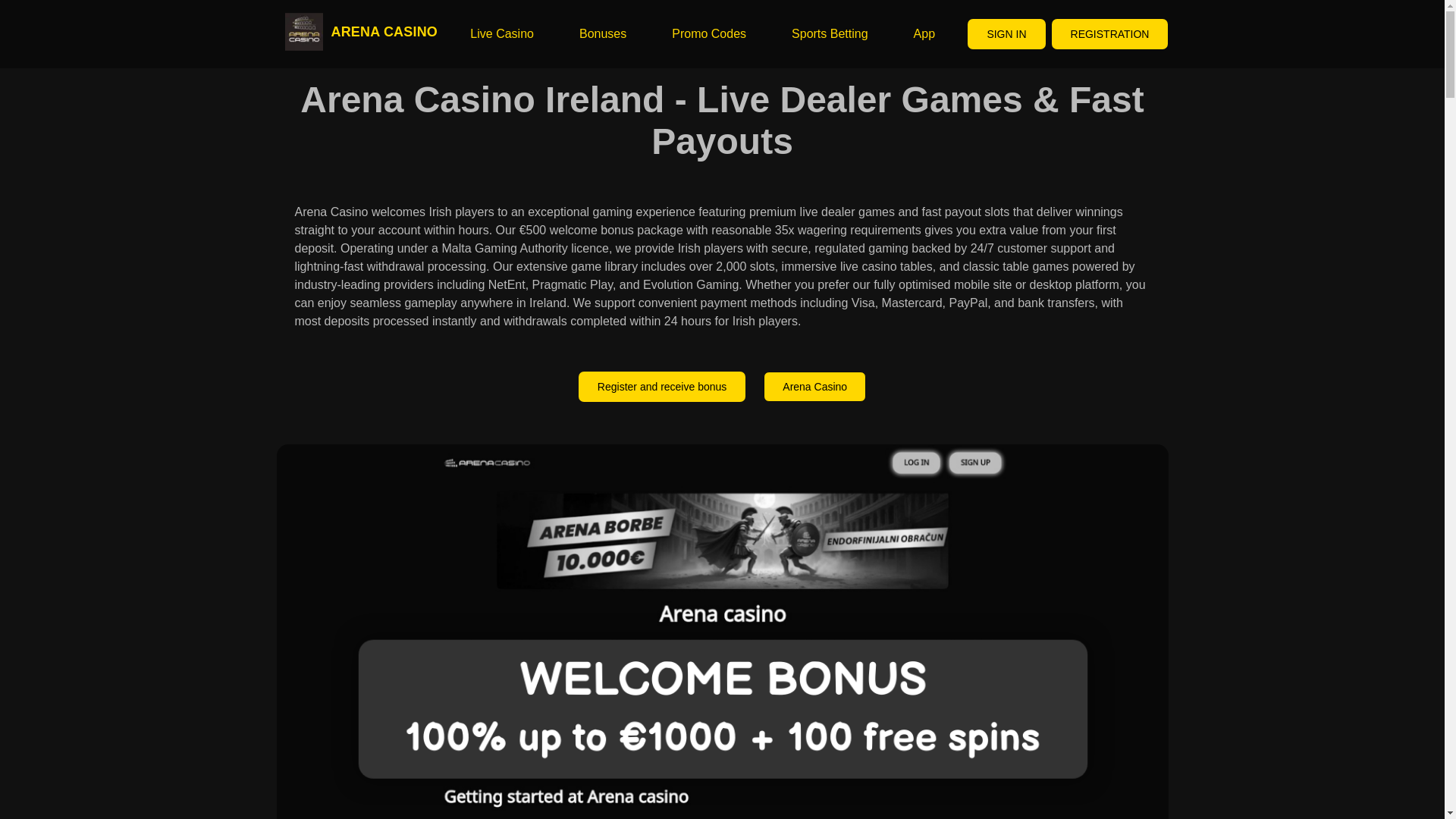 website screenshot of https://arenacasino-ie-net.pages.dev/