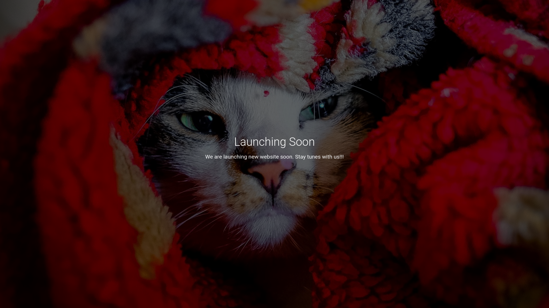 website screenshot of https://ladnaanmedia.com/