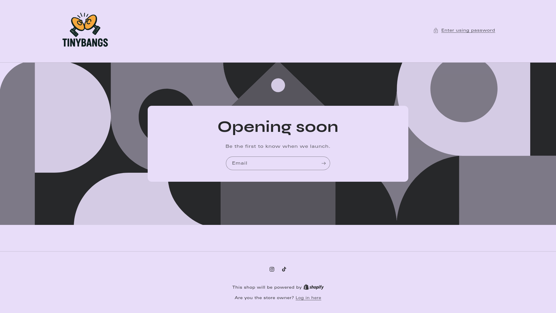 website screenshot of https://tinybangs.shop/