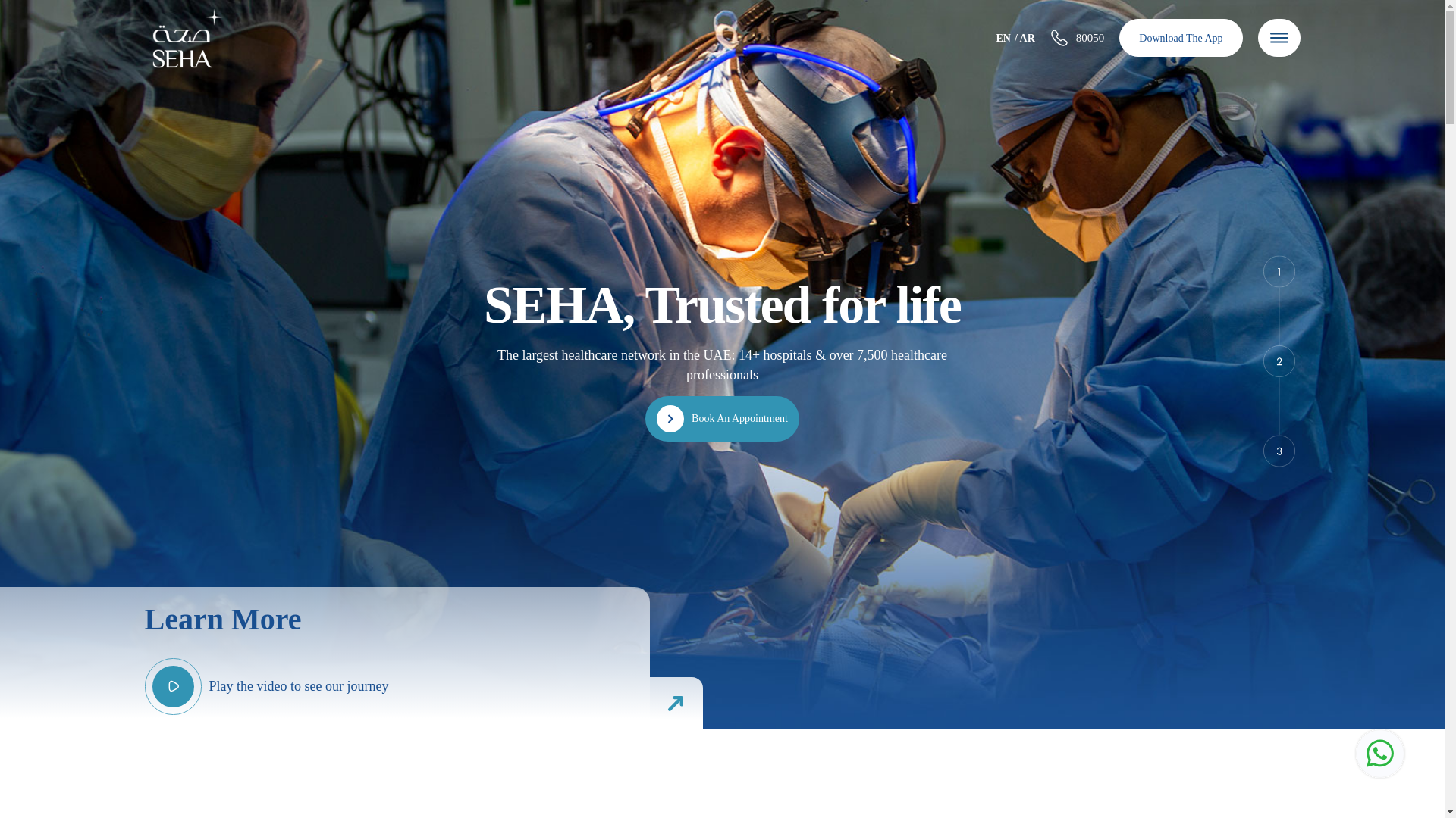 website screenshot of https://seha.ae/