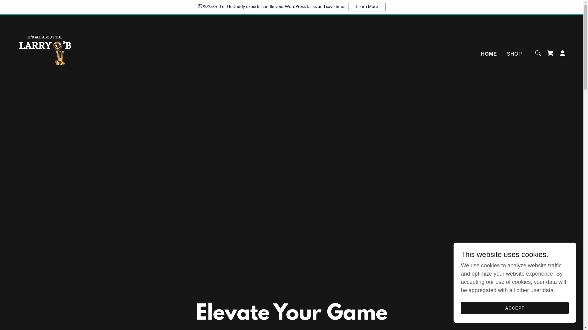 website screenshot of https://thelarryob.com/