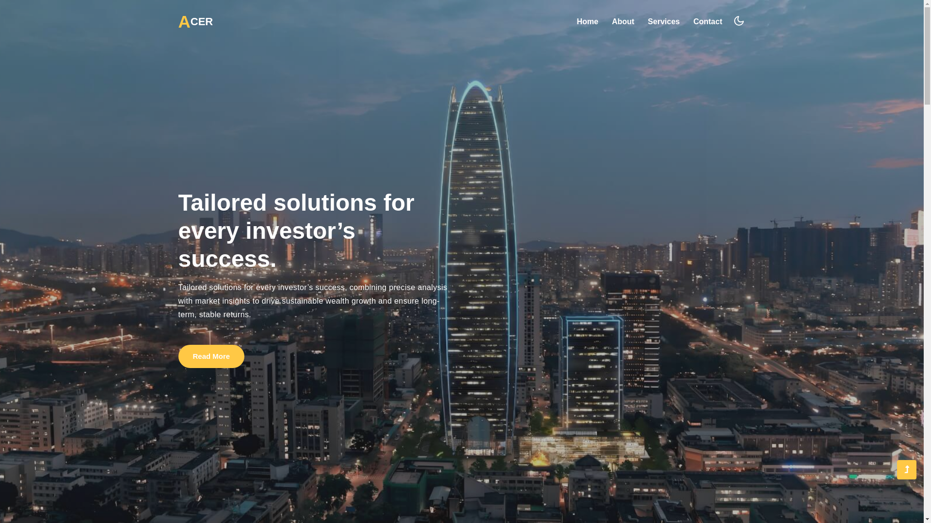 website screenshot of https://acerinvestors.pages.dev/