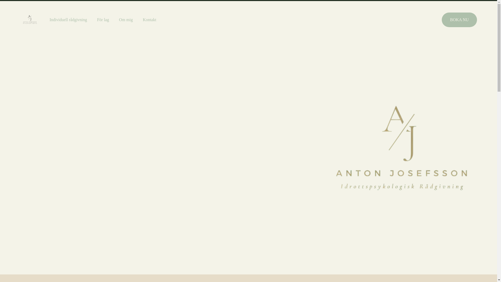 website screenshot of https://avjsports.com/