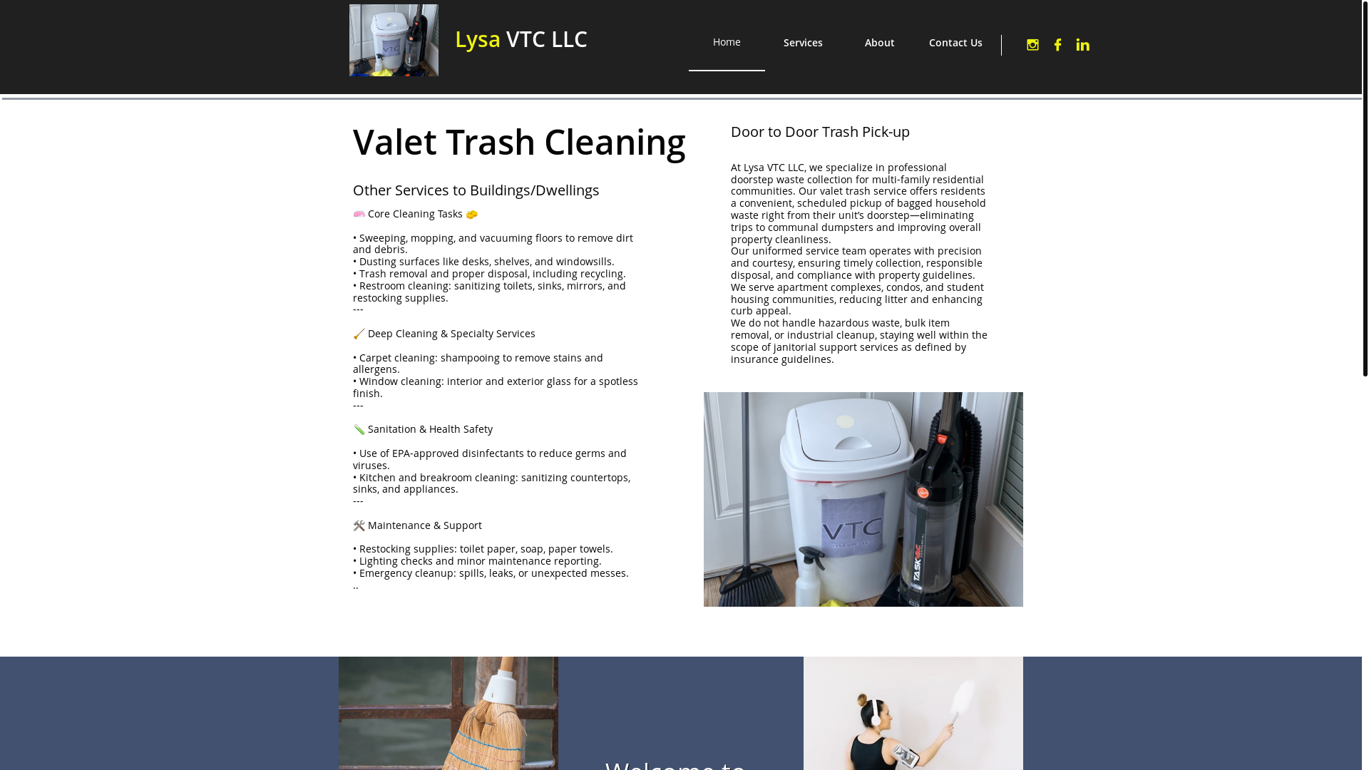 website screenshot of https://lysavtc.com/