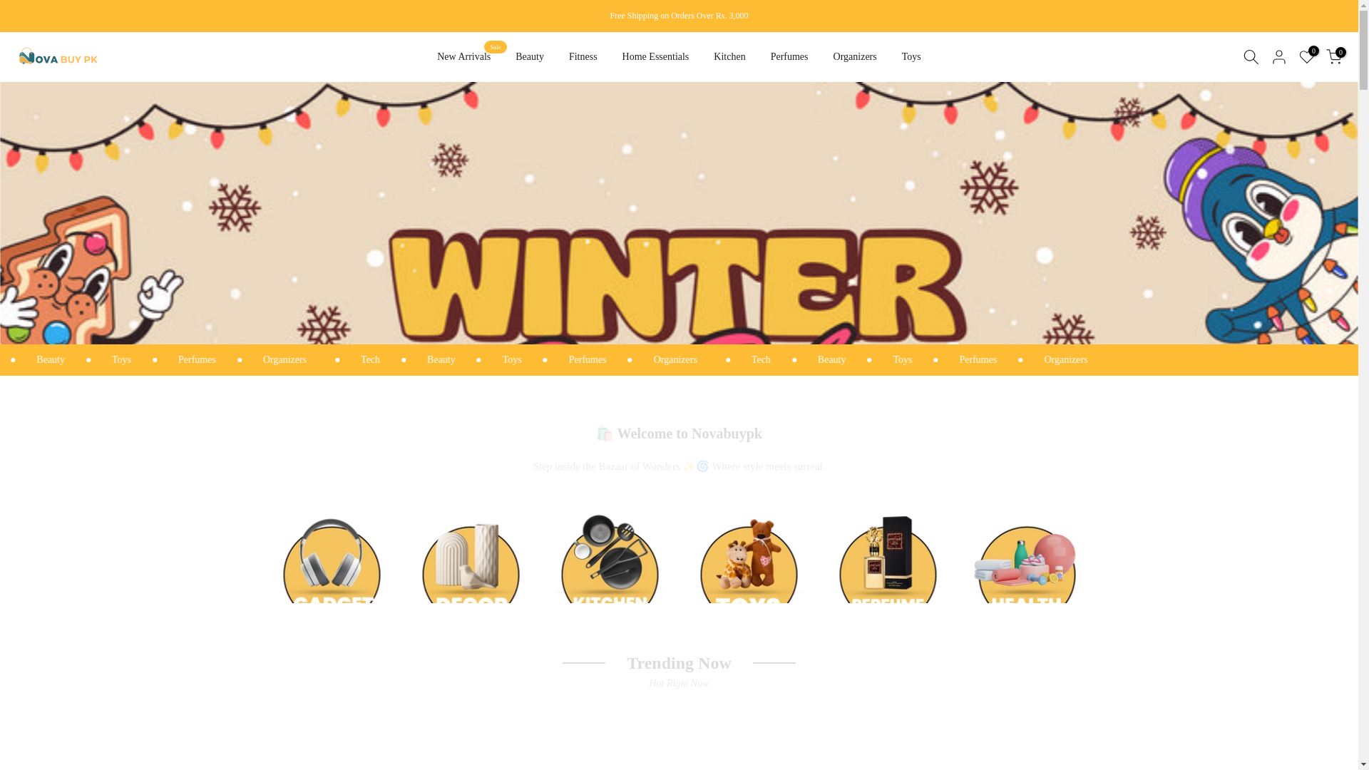 website screenshot of https://novabuypk.store/