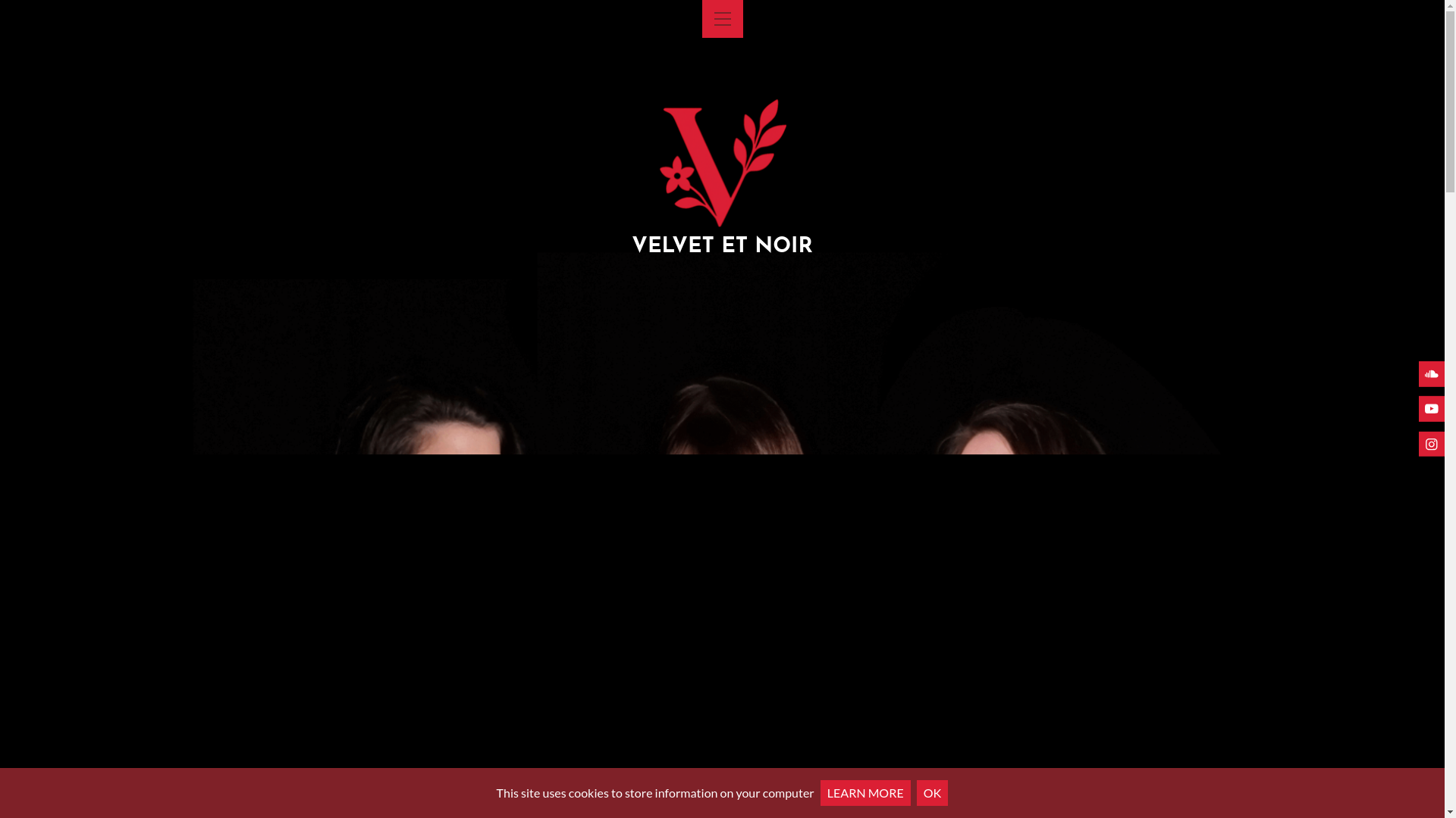 website screenshot of https://velvetetnoir.de/
