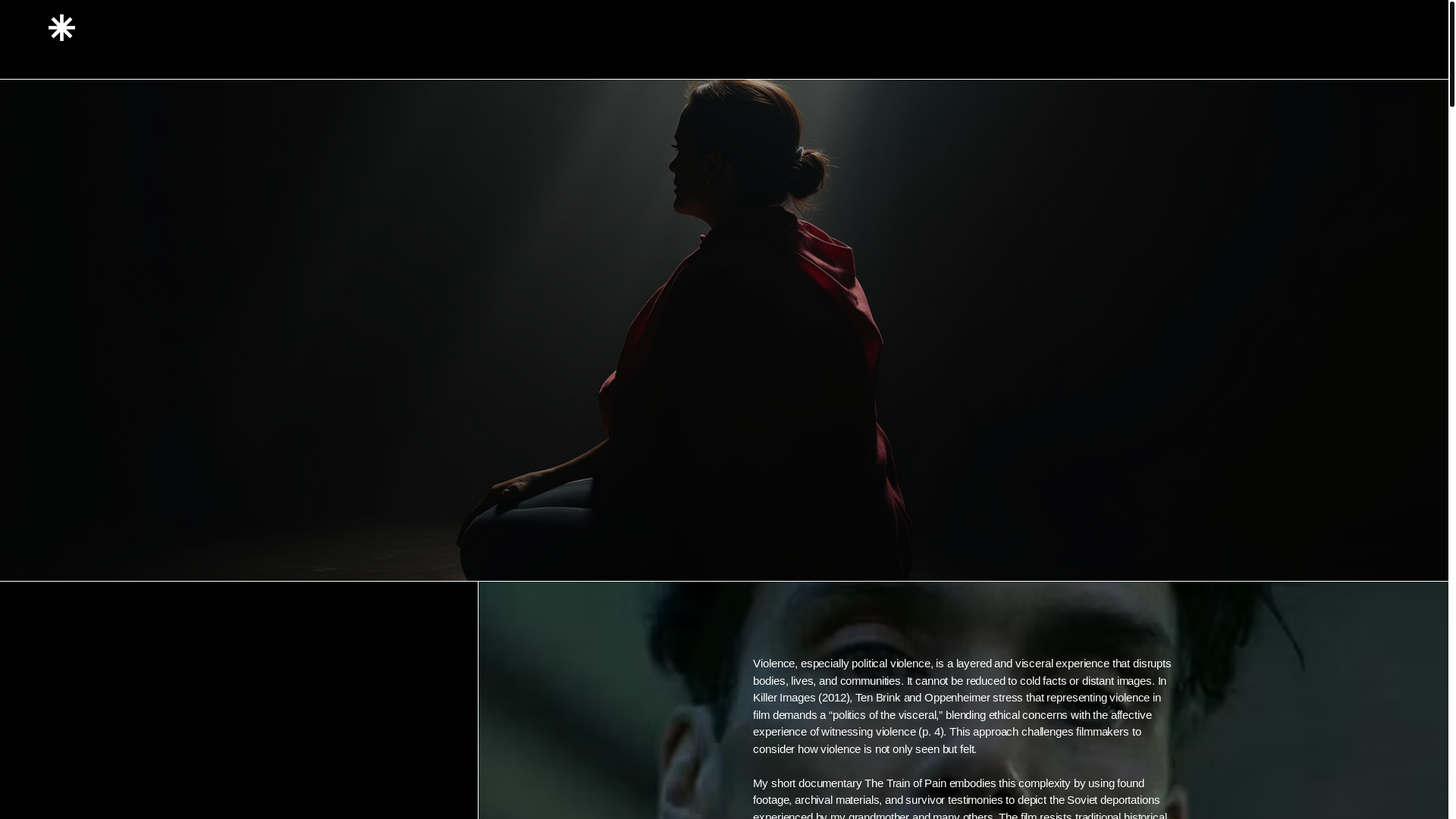 website screenshot of https://aydandenizblog.com/