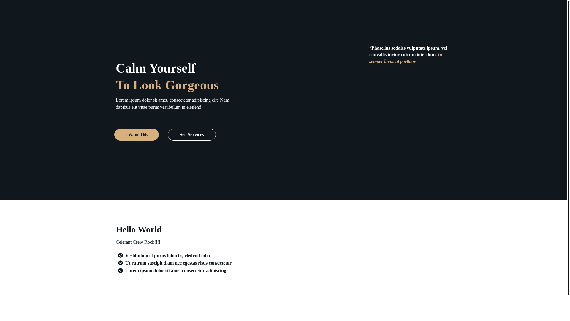 website screenshot of https://celerantcms.com/