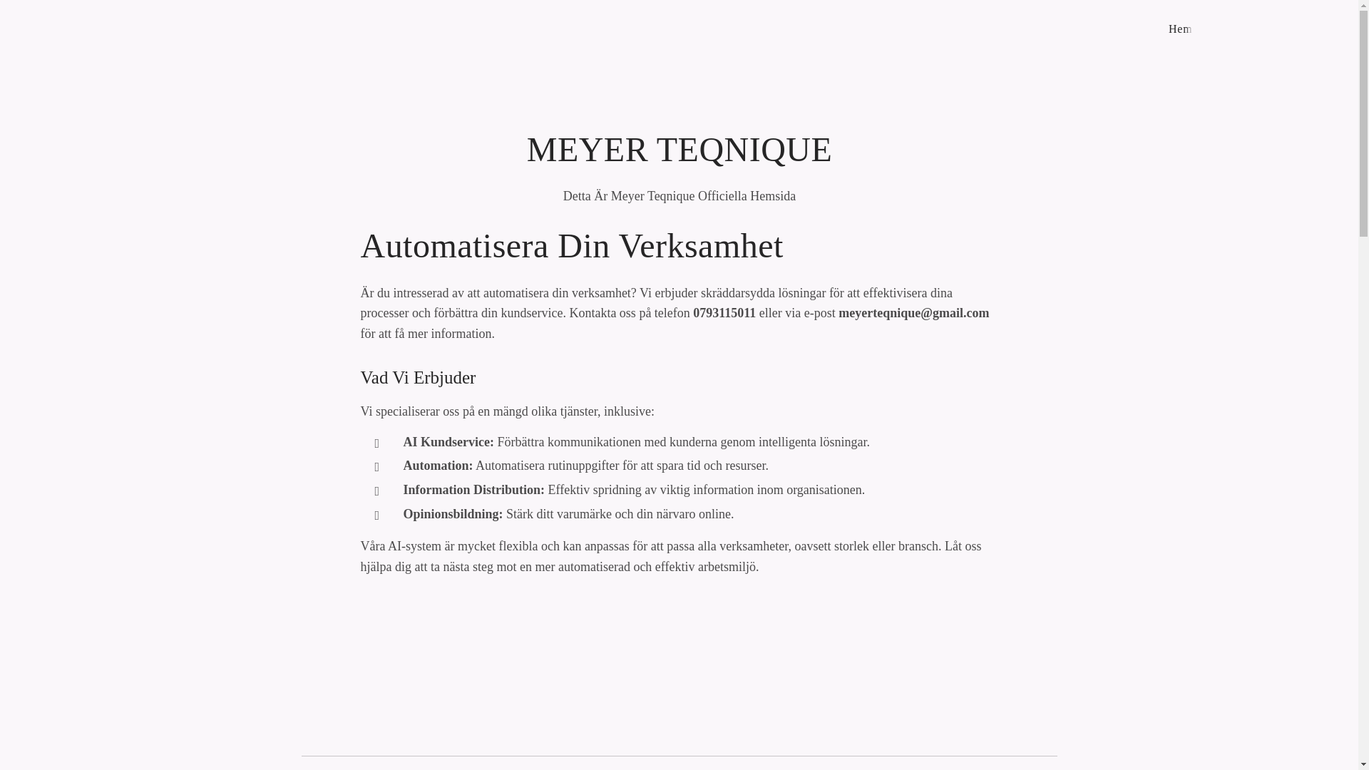 website screenshot of https://meyerteqnique.se/
