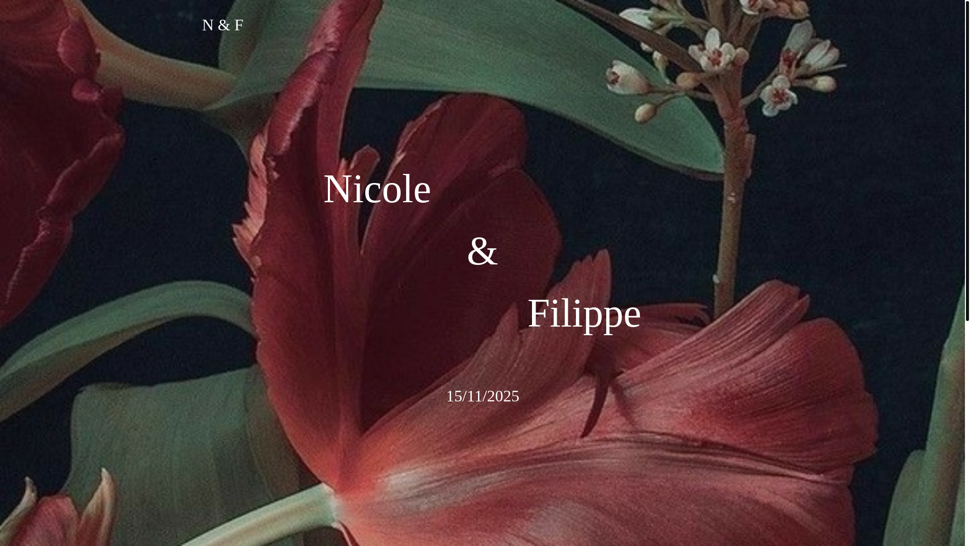 website screenshot of https://nicoleefilippe.com/