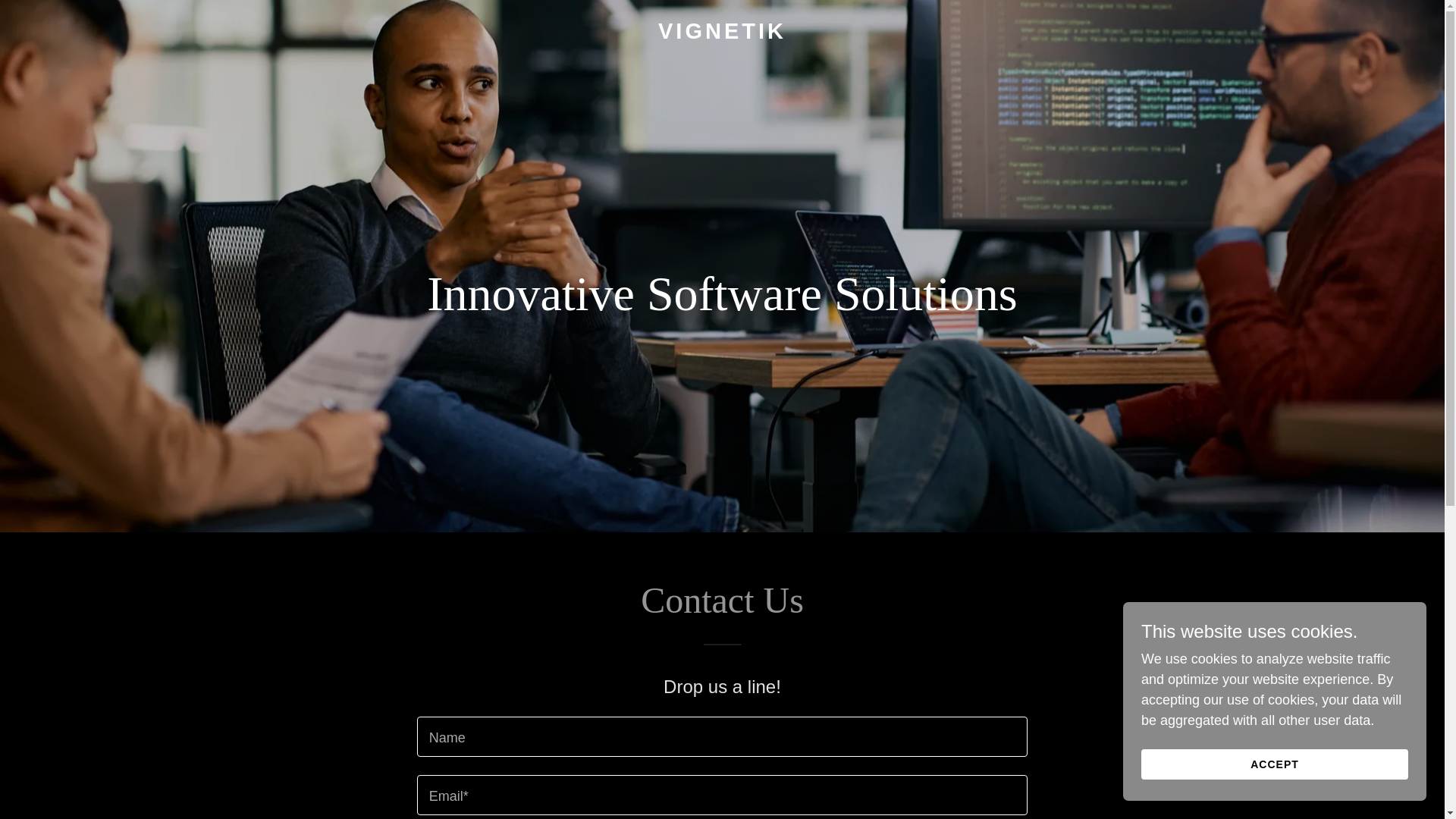 website screenshot of https://vignetik.com/