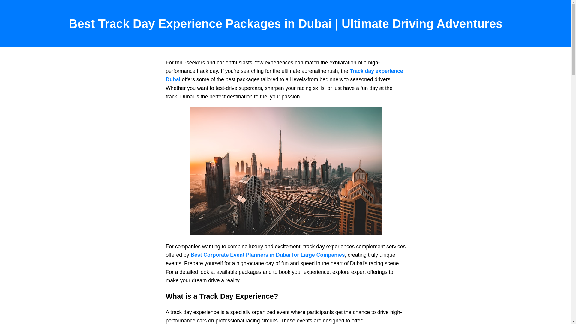 website screenshot of https://trackdayexperience.pages.dev/