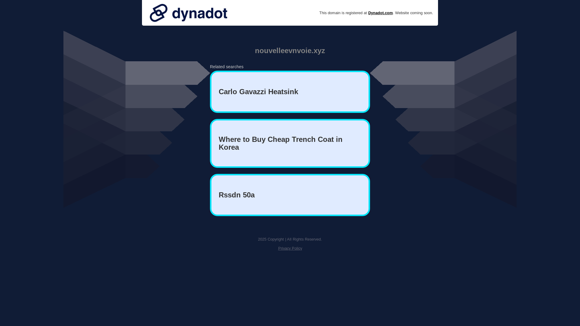 website screenshot of https://nouvelleevnvoie.xyz/