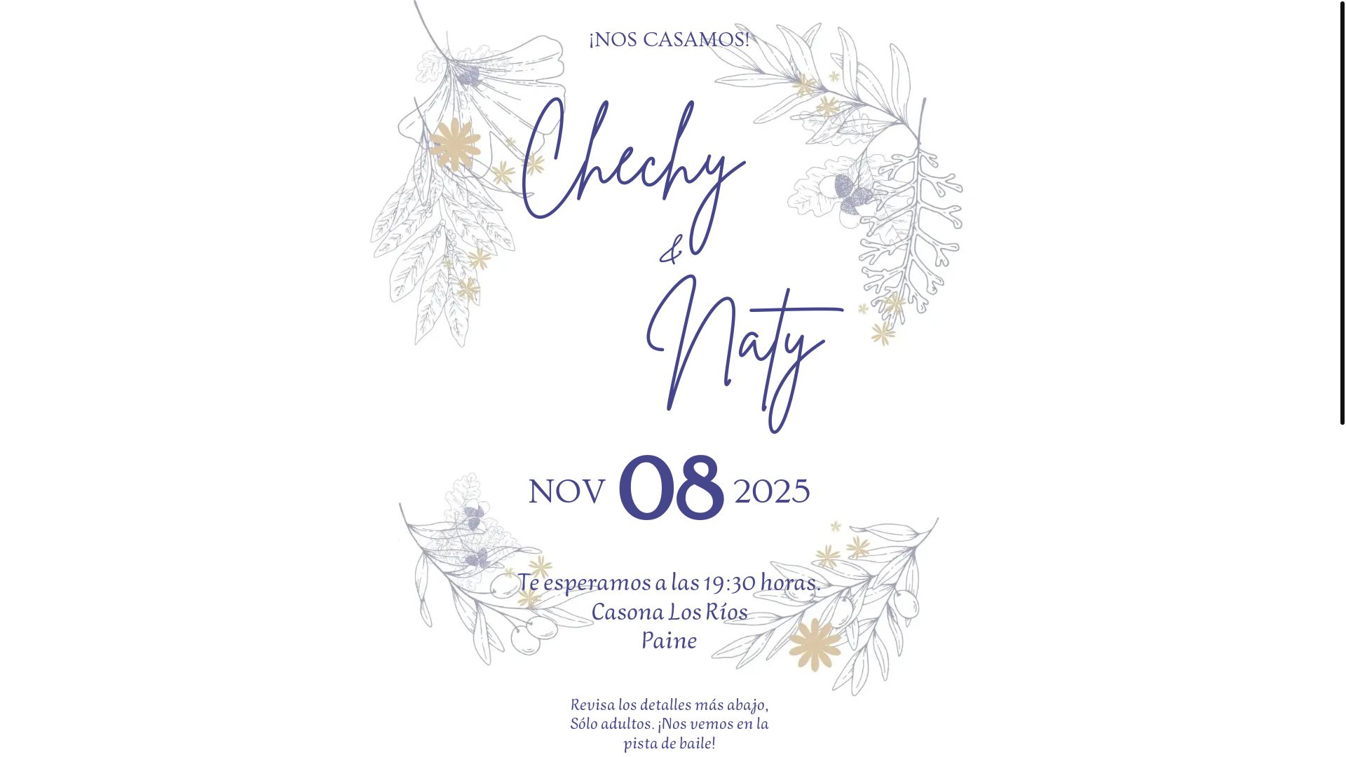 website screenshot of https://chechynaty.cl/