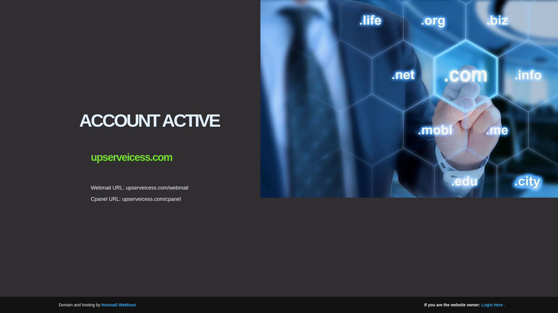 website screenshot of https://upserveicess.com/