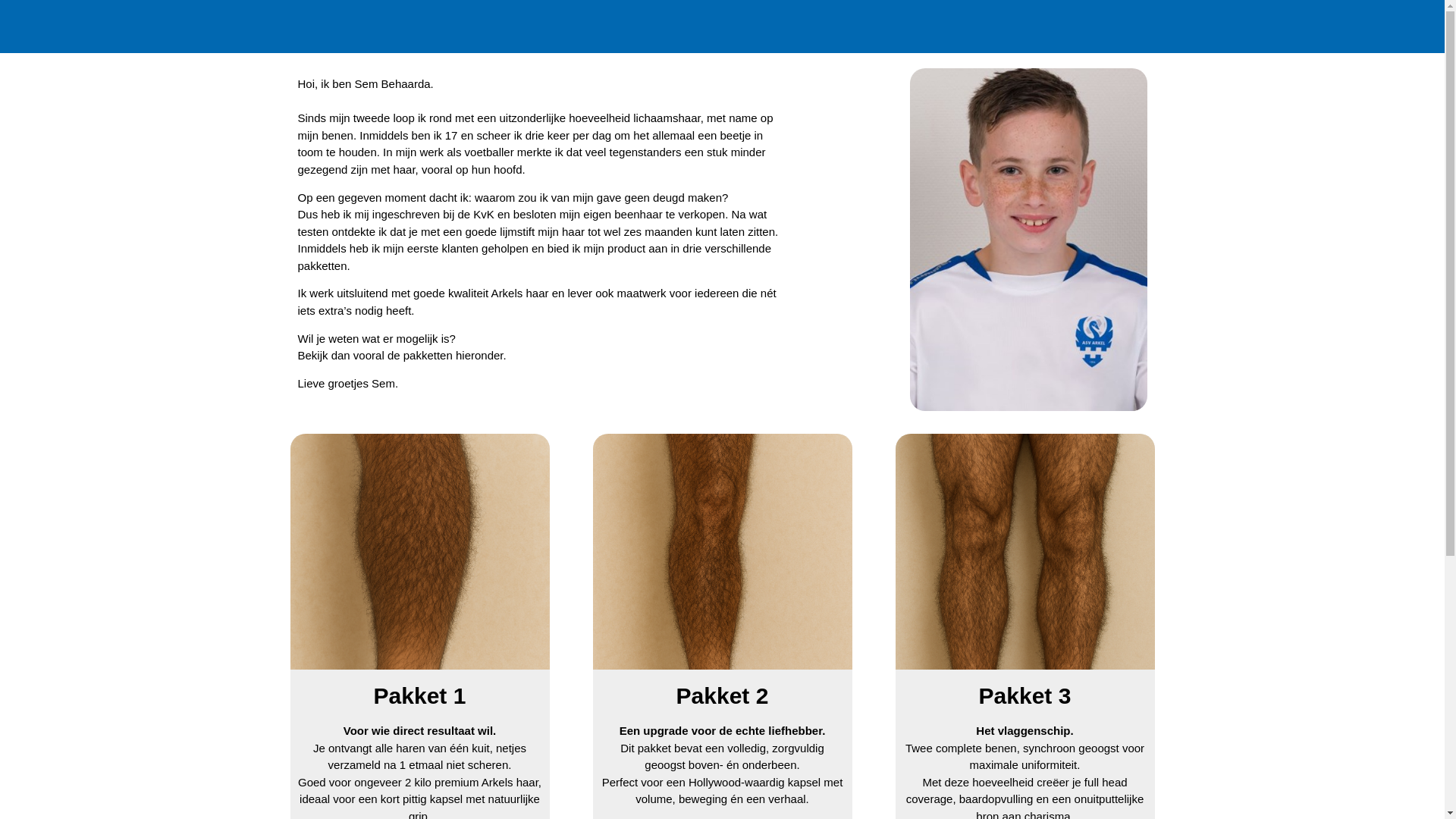 website screenshot of https://sembehaarda.nl/