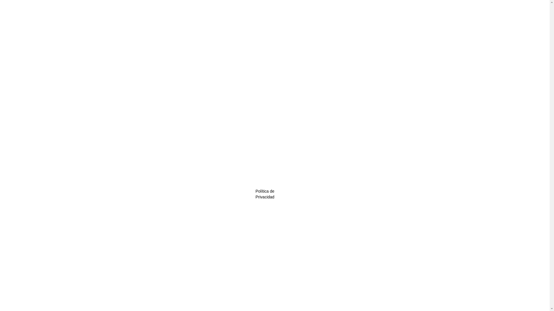 website screenshot of https://servsillan.com/
