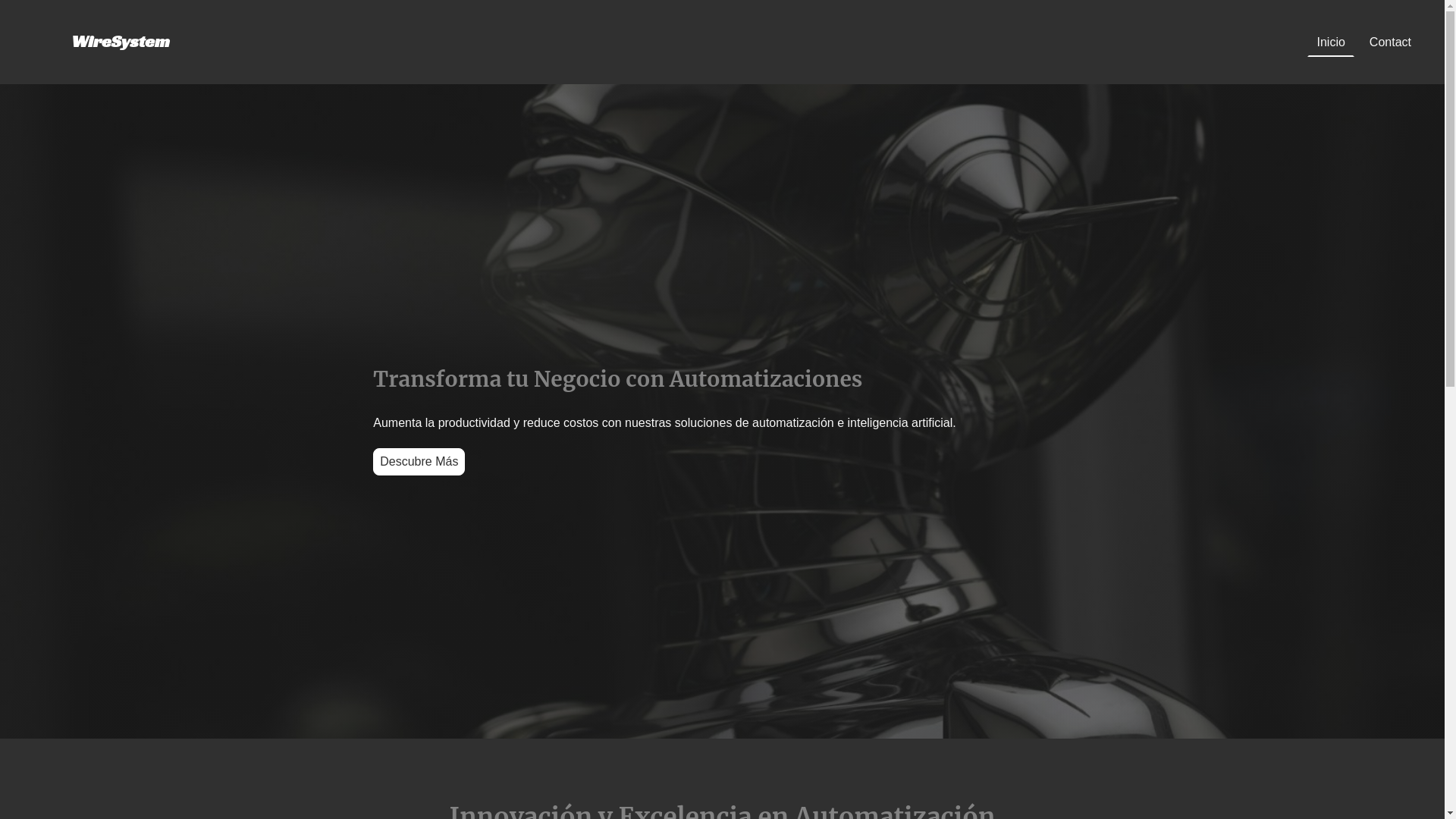 website screenshot of https://wiresystems.es/