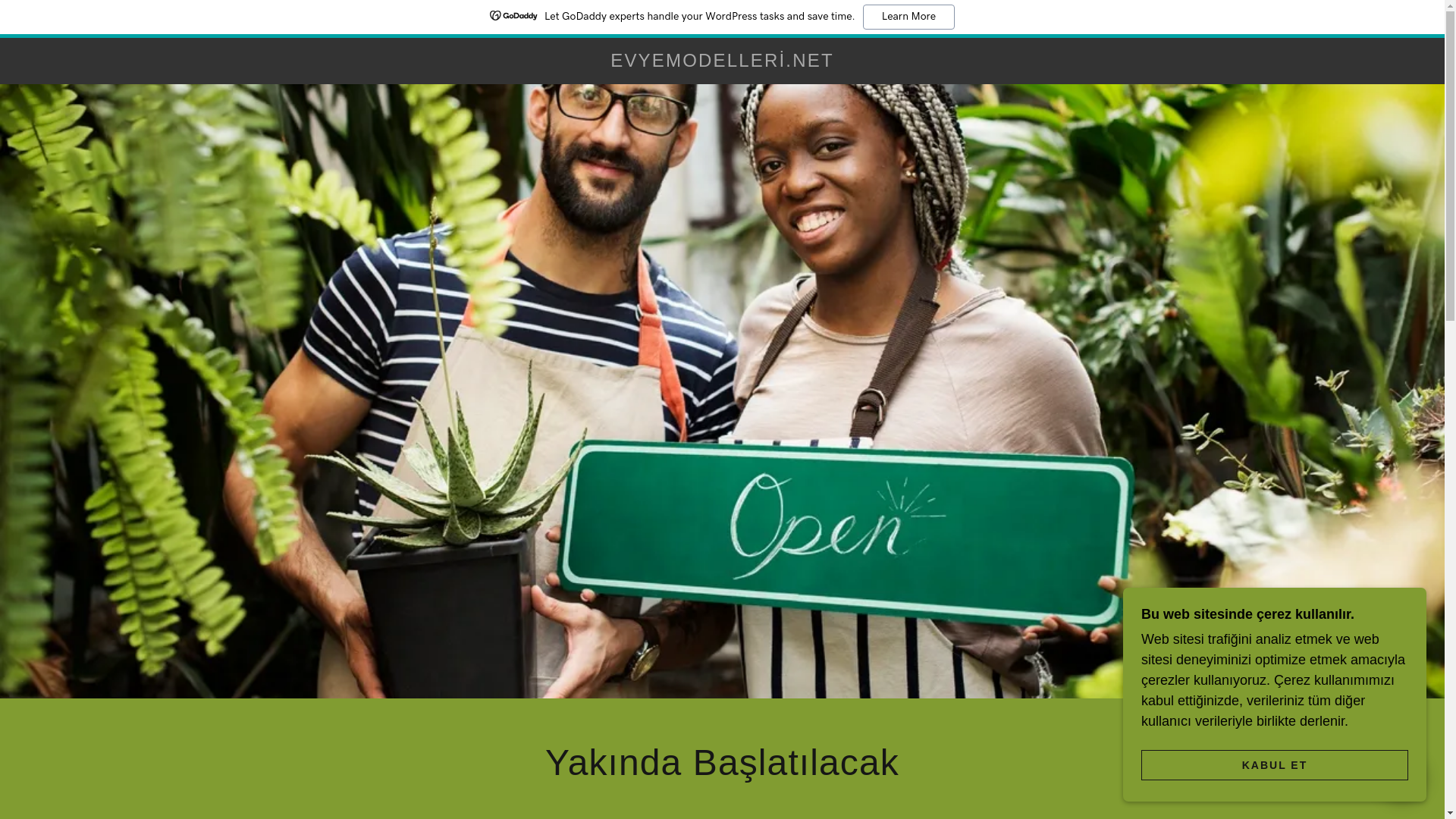 website screenshot of https://evyemodelleri.net/