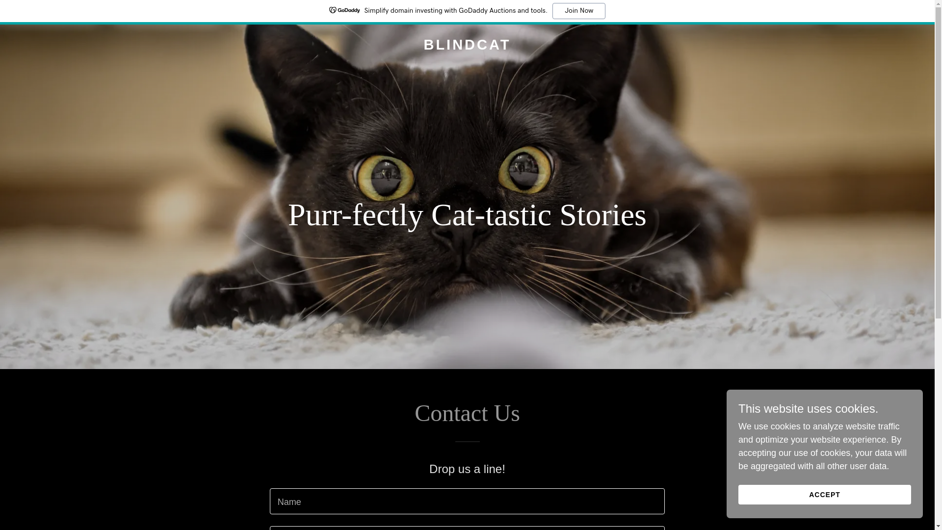 website screenshot of https://blindcat.blog/