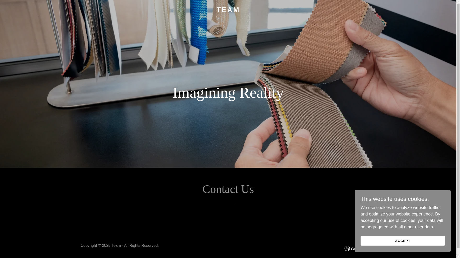 website screenshot of https://meettheteam.in/