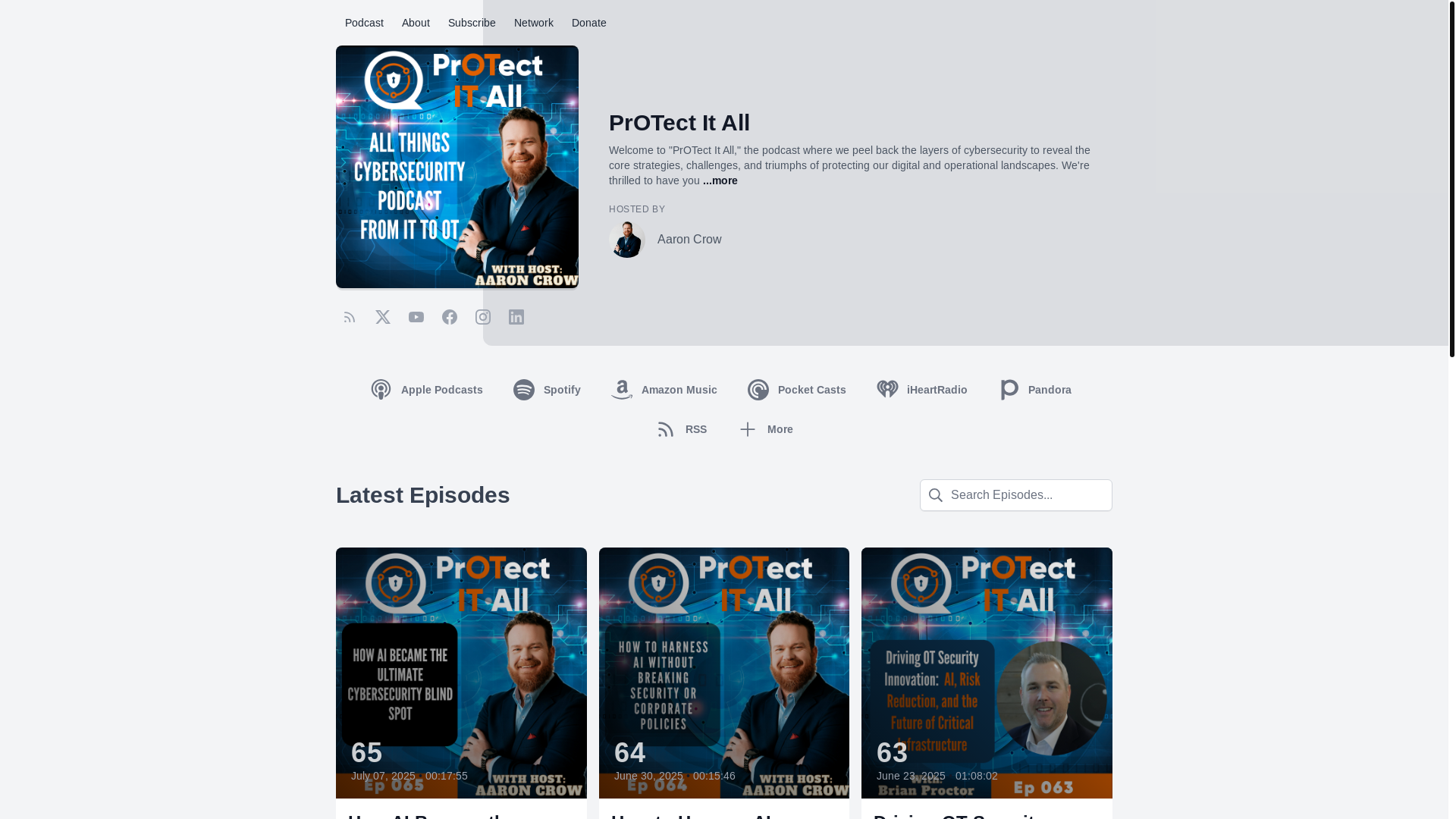 website screenshot of https://protectcyberpodcast.com/